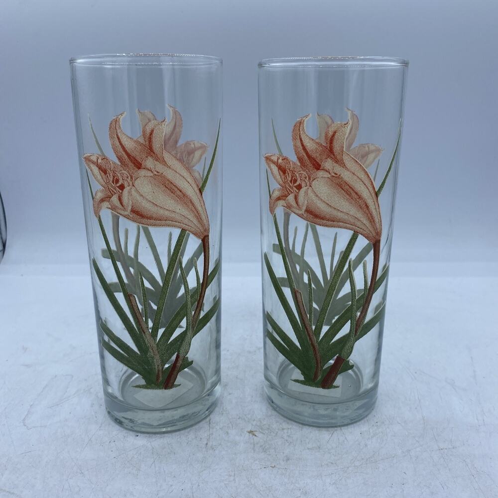 Vintage tall tumblers, 80s glasses, pair of 80s highballs, Pink & Green Flowers
